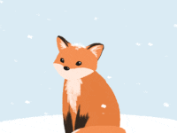 red fox