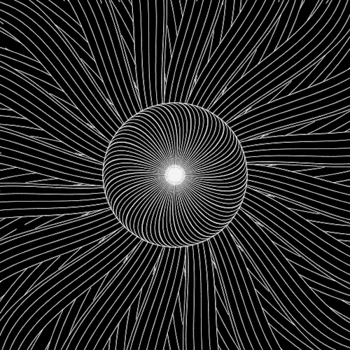 black-white optical