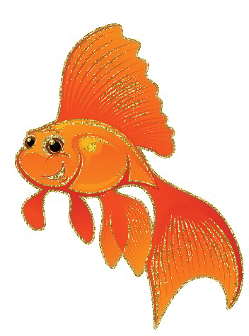 gold fish