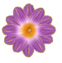 purple flower