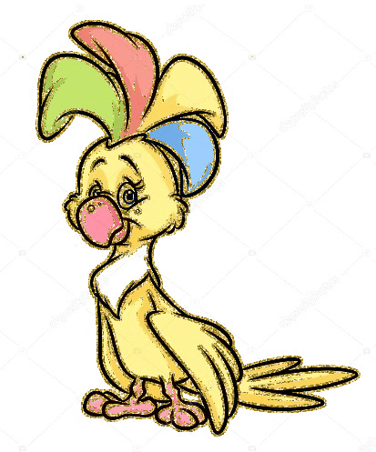 cockatoo