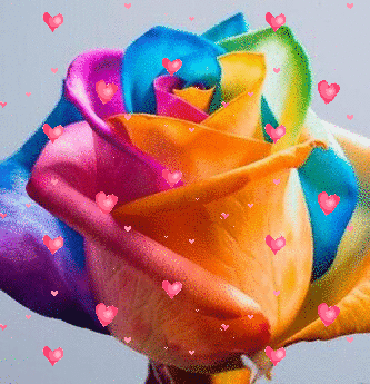 Hearts & Flowers