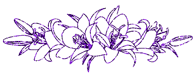 lilies