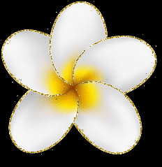 Plumeria
