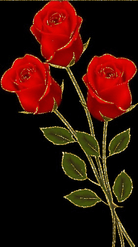 red rosas