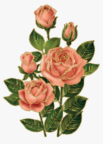 peach roses
