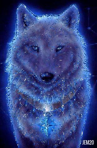 Glittery Wolf
