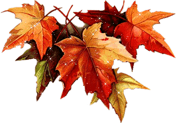 autumn leaves