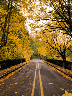 autumn
