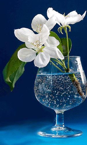 white flower