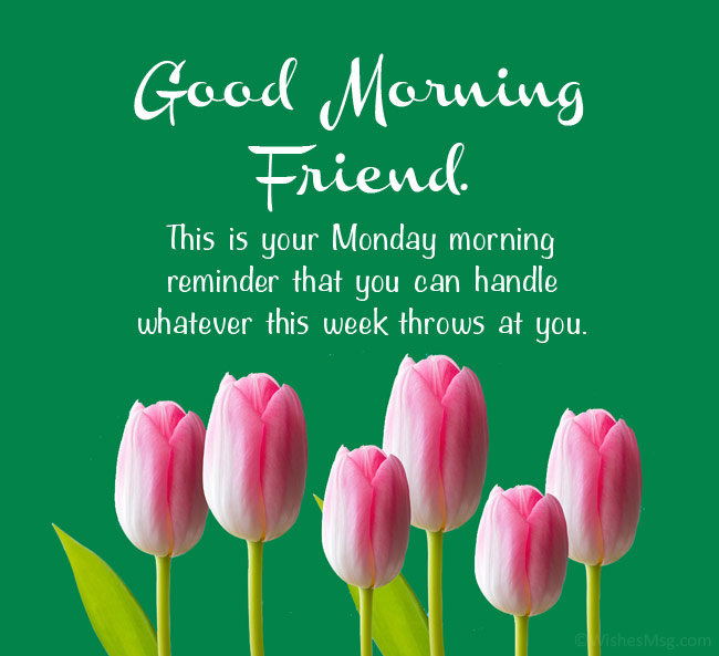 Good Morning Friend
