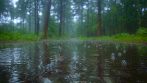 rain