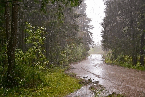 rain
