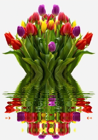 tulip bouquet
