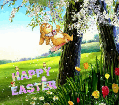 bunny