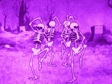 funny purple animated