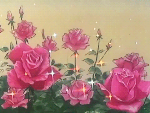 pink rosa