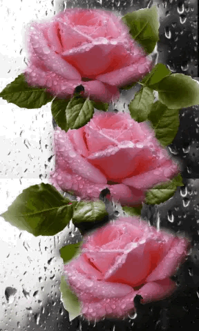 sparkles flower