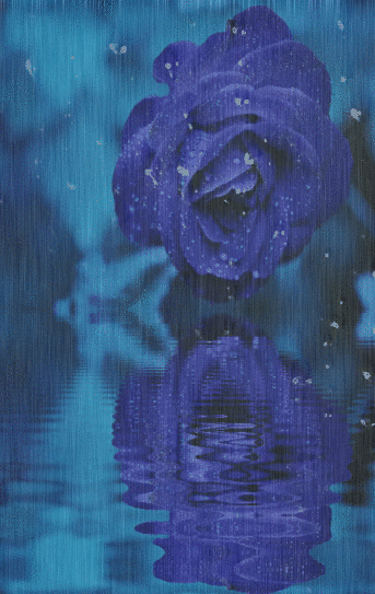Blue Rose Background
