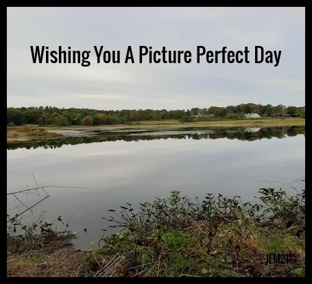 Picture Perfect Day