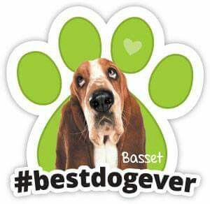 Best Dog Ever