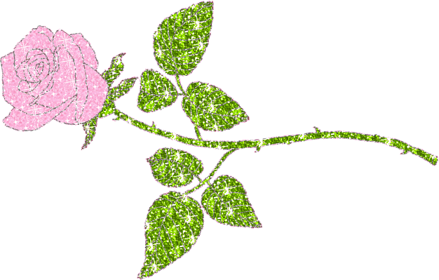 pink rose