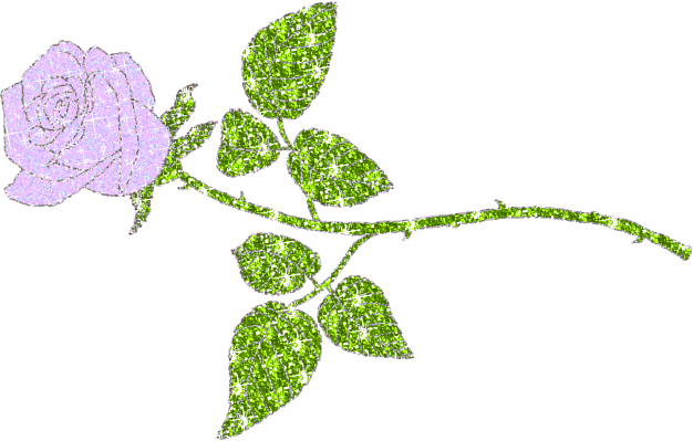 purple rose
