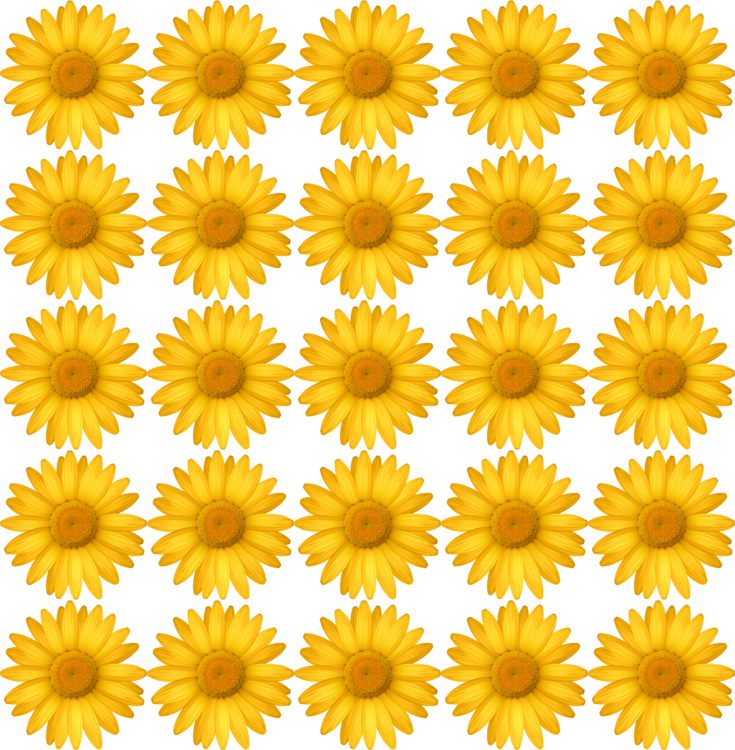 background with daisies