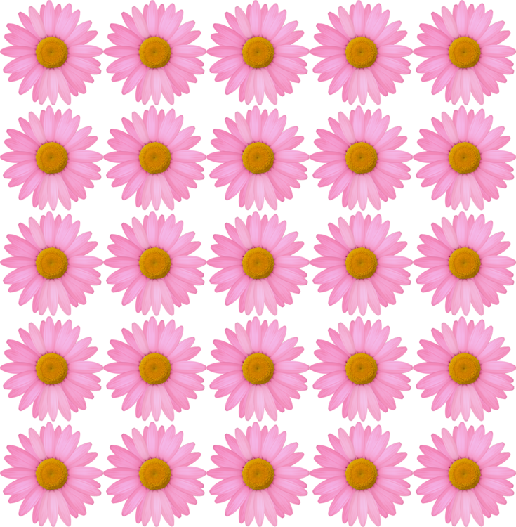 background with daisies