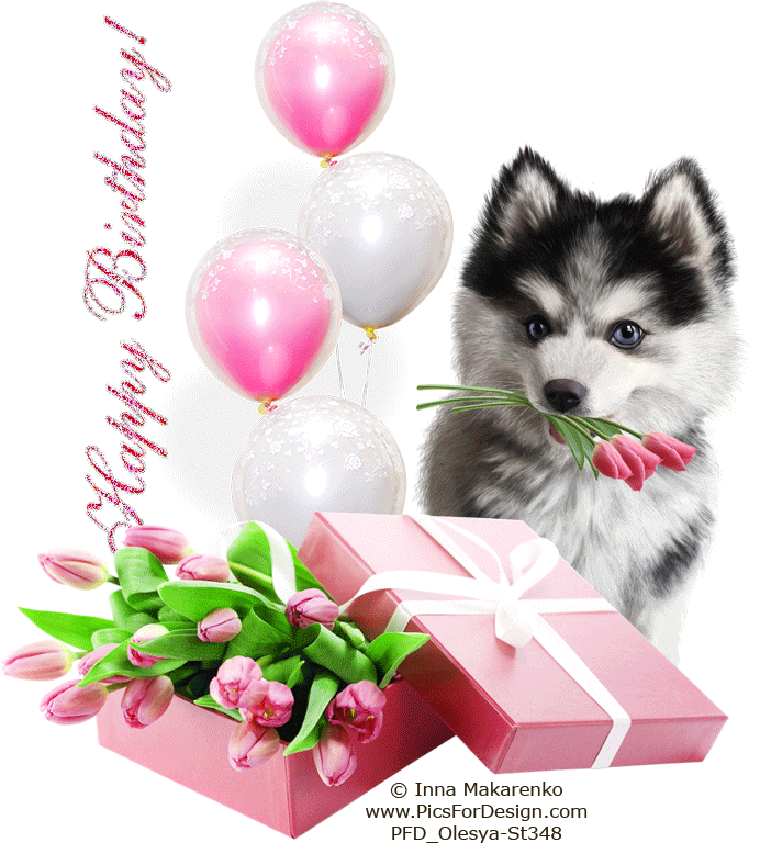 Happy Birthday!