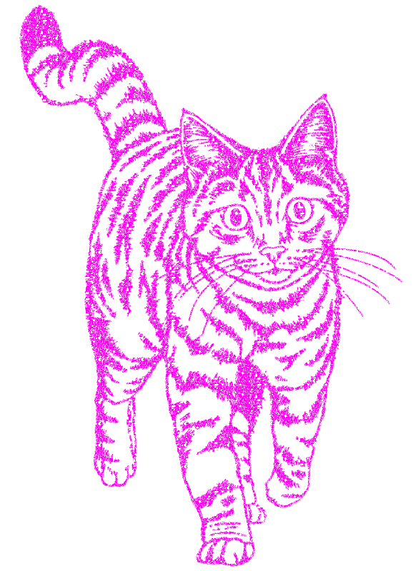cat
