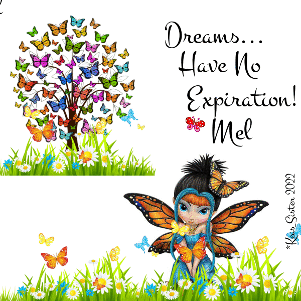 Mel - Dreams Have No - Expiration