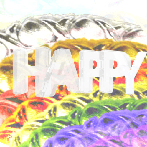 xoxo Happy Birthday Ari xoxo