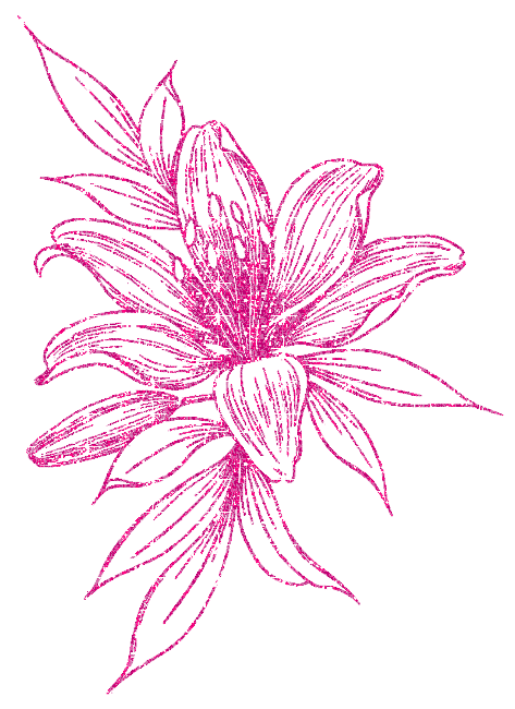lilies