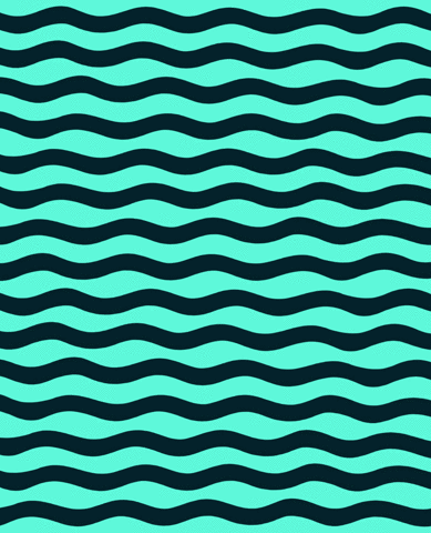 optical picture