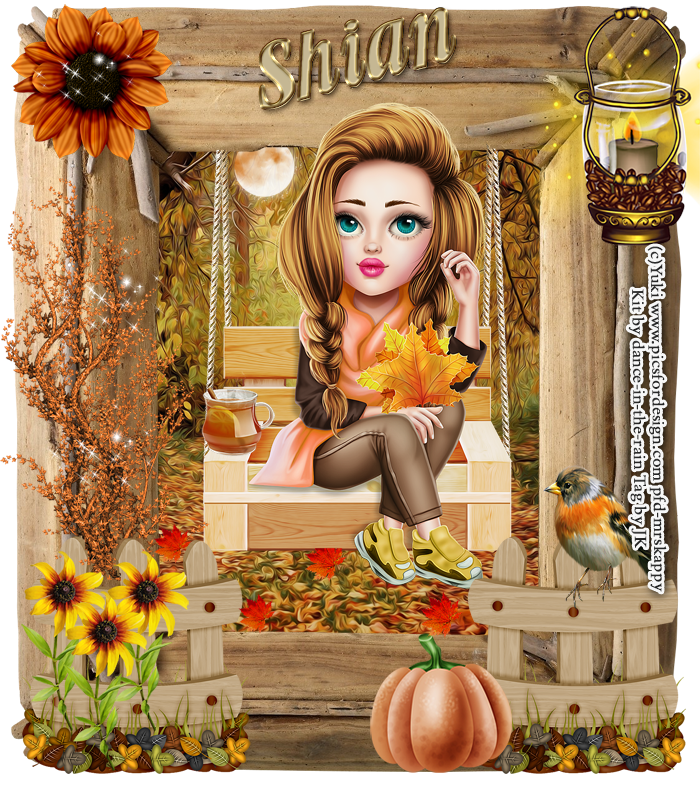 Girl on a swing - Shian