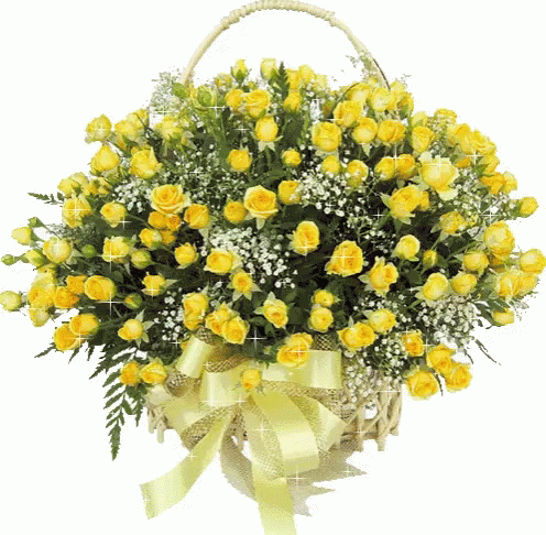 yellow rosas