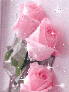pink rosa