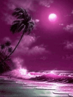 purple nature