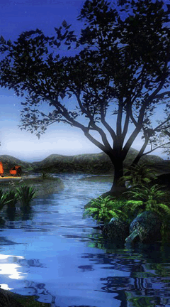 nature in the night