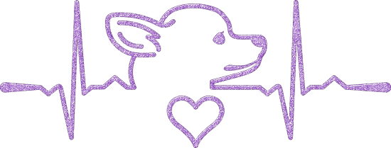 Chihuahua Heartbeat