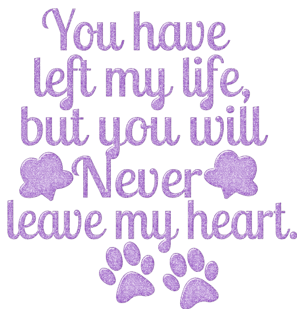 You have left my heart