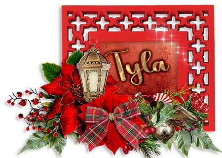 Christmas Siggie tag - Tyla