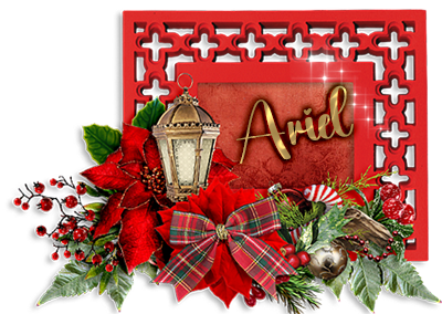 Christmas Name Siggie Tag - Ariel