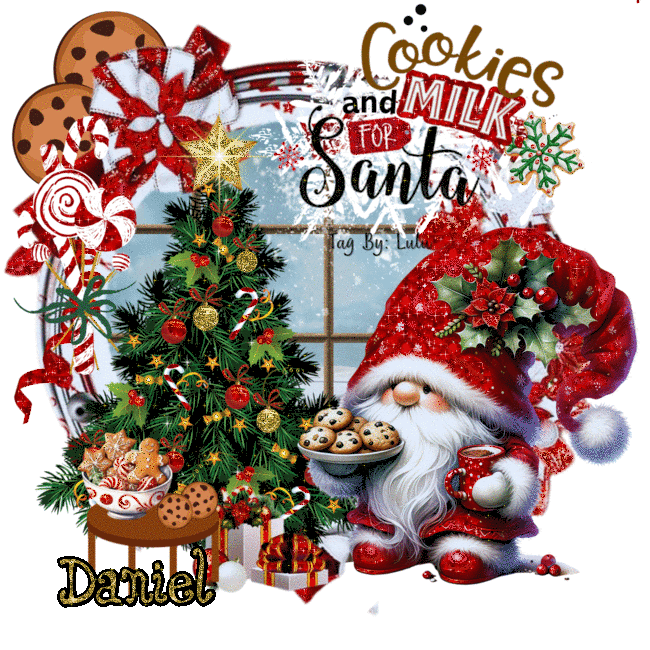 Daniel - Cookies and Milk for Santa Merry Christmas Gnome