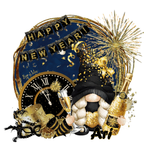 Ari - Happy New Year Cute Gnome Fireworks Clock Midnight New Years