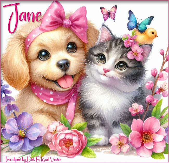 Puppy & Kitten - Jane