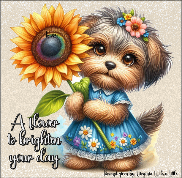 A flower to brighten your day