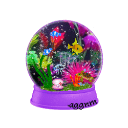 fish snow globe