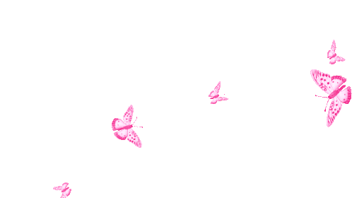 pink butterflies